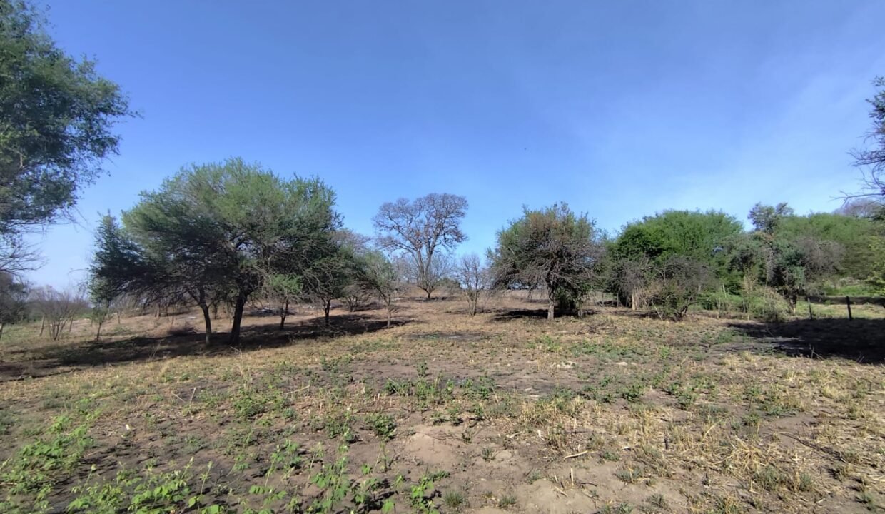 WhatsApp Image 2025-10-22 at 10.35.22 AM (1)