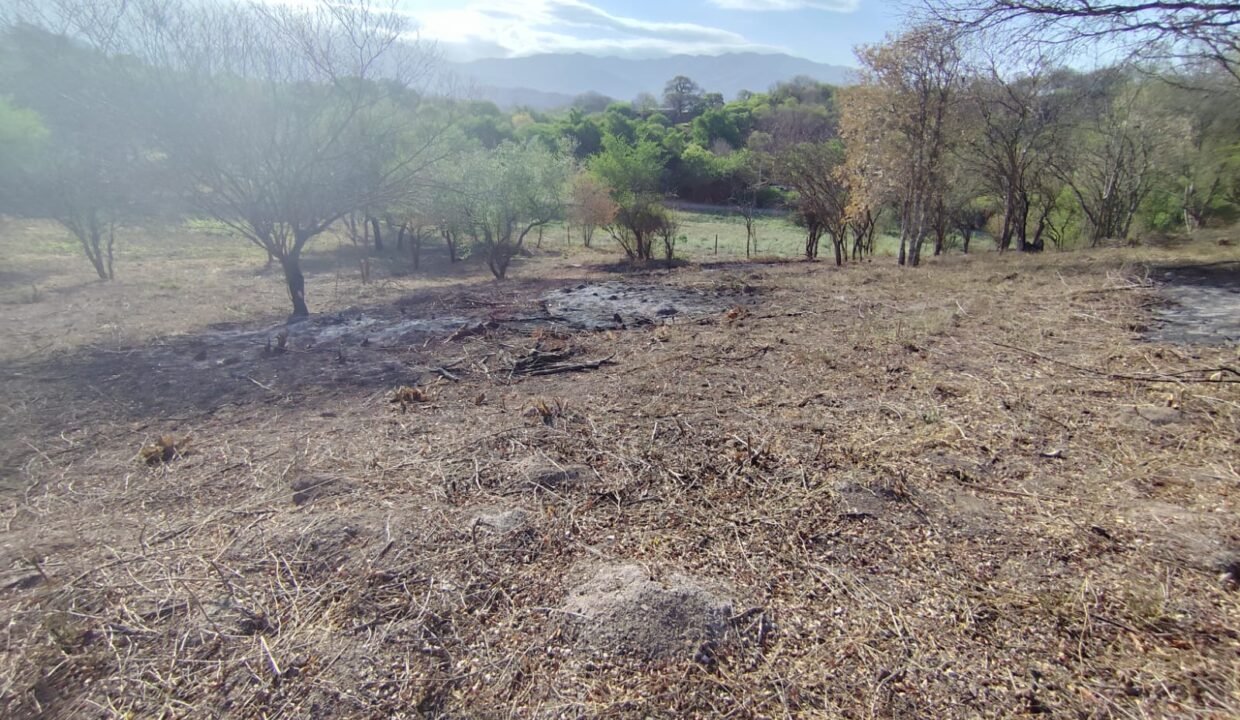 WhatsApp Image 2025-10-22 at 10.35.22 AM