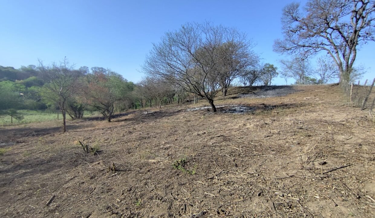 WhatsApp Image 2025-10-22 at 10.35.22 AM (2)