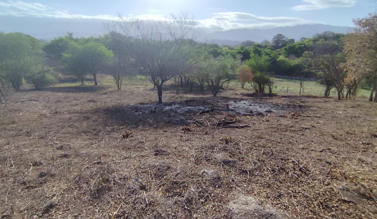 WhatsApp Image 2025-10-22 at 10.35.22 AM (3)