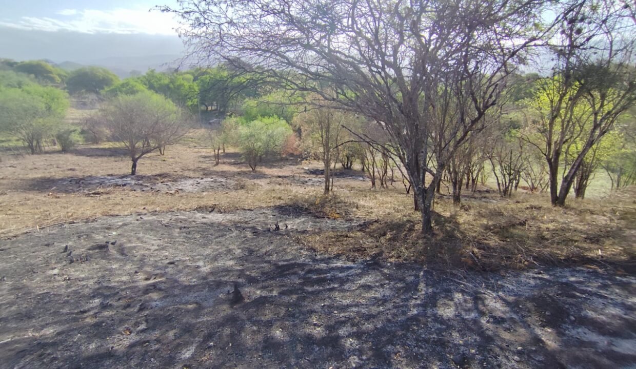 WhatsApp Image 2025-10-22 at 10.35.23 AM (1)