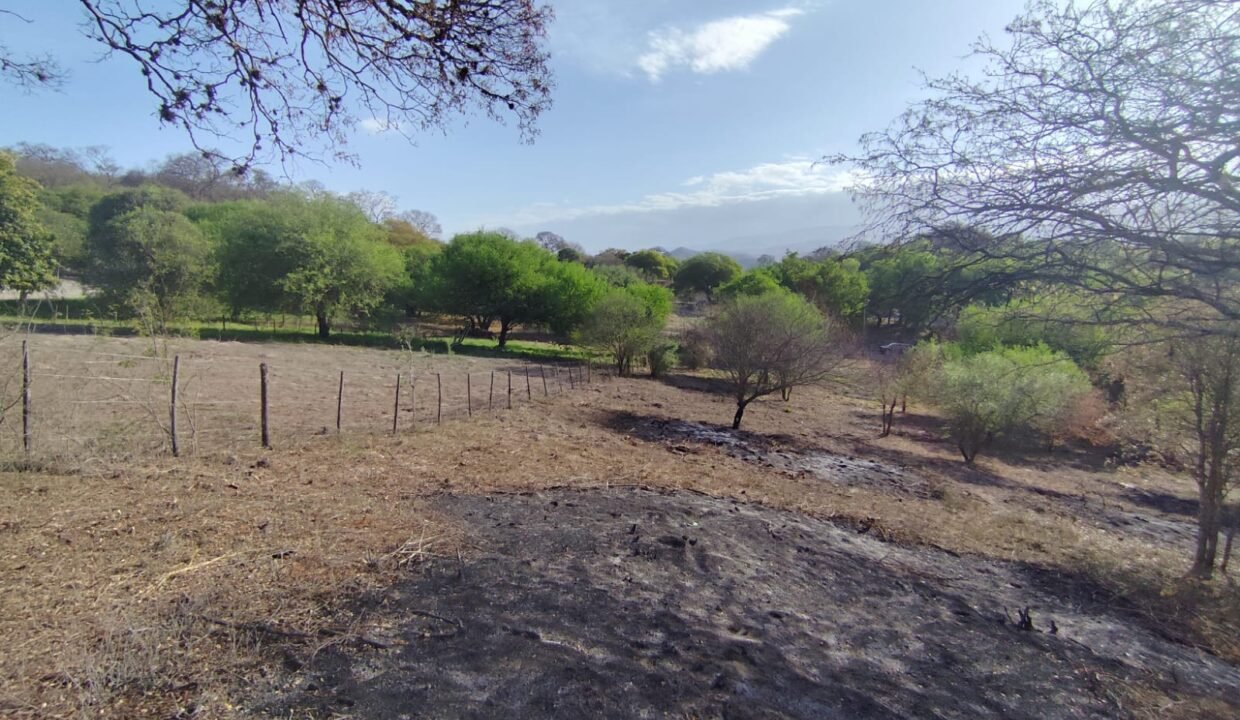 WhatsApp Image 2025-10-22 at 10.35.23 AM