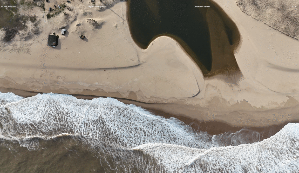 beach club ubicacion