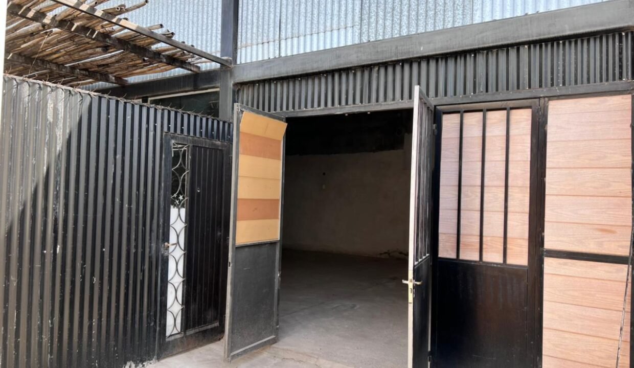 PHOTO-2026-03-02-19-48-39 31